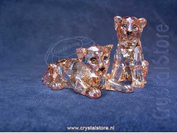 SCS Amur Luipaard Welpen SCS Amur Luipaard Welpen