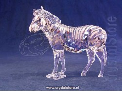SCS Annual Edition 2021 Zebra Amai