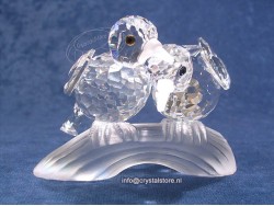 Tortelduiven (No Box)
