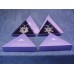 Kerststerren Complete Collectie 1991 t / m 2021 (19912020)
