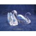 Love Swans (1143414)