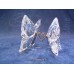 Love Butterflies (1143416)