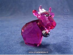 Disco Mo Gelimiteerde Editie 2013 Disco Mo Gelimiteerde Editie 2013