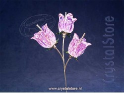 Garden Tales Bellflower