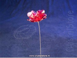 Garden Tales Roos Garden Tales Roos