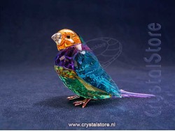 Idyllia SCS Gouldian Finch Small