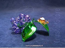 Idyllia Slak en bosbessen