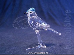 Blue Jay