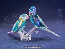 Parakeet Couple Fife and Fifer
