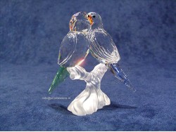 Budgies 