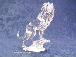 Lion on a rock