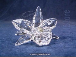 Orchid Yellow Light Centre (No Box)