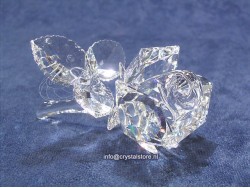 Rose Clear