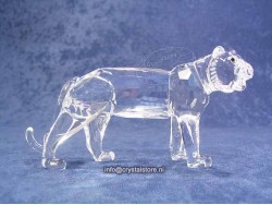 Tiger (1998 issue) Tiger (1998 issue)