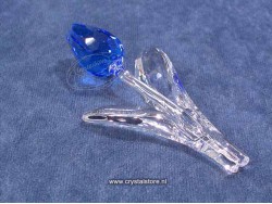 Tulp blauw 
