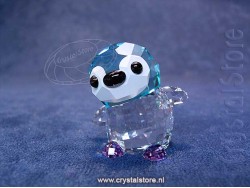 SCS - Big Brother Paco SCS - Big Brother Paco