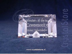 Title Plaque Community 2007