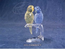 Budgies Coloured 2014