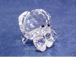 Hermit Crab  Hermit Crab