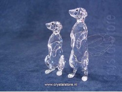 Meerkatten - Stokstaartjes