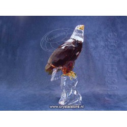 Bald Eagle - Showpiece