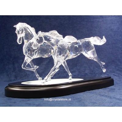 Wilde paarden