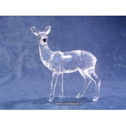 Doe