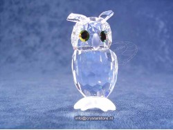 Night Owl