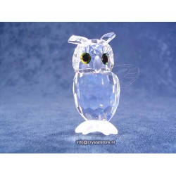 Night Owl