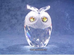 Owl small