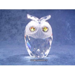 Owl small