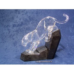 Panther