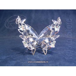 Butterfly Aurore Boreale 2014