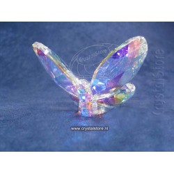 Butterfly Aurora Borealis