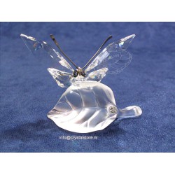 Butterfly on Leaf - 1994