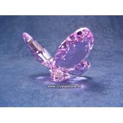 Butterfly Violet