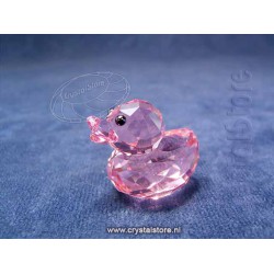 Duck Rosy Ruby
