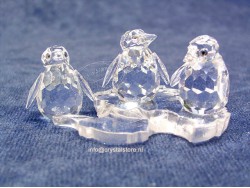 Baby Penguins 