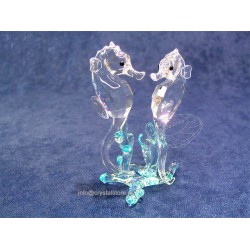 Sea Horses 