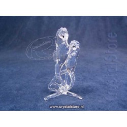 Sea Horses Clear