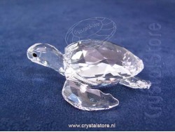 Zeeschildpad