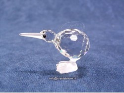 Kiwi Vogel 