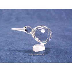 Kiwi Bird