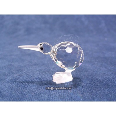 Kiwi Bird