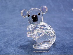 Koala Mini (left)
