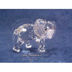 Elephant Little