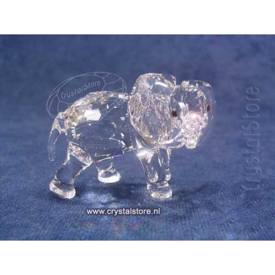 Elephant Little