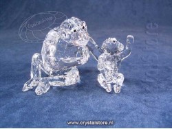 Chimpansee Moeder met Baby