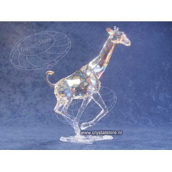 Giraffe 
