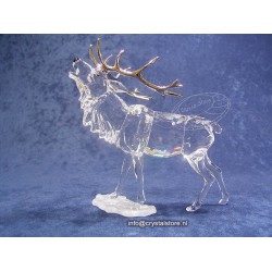 Stag